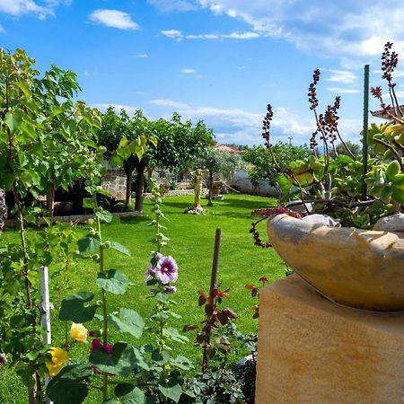 Ocean View Villa Кинета Екстериор снимка