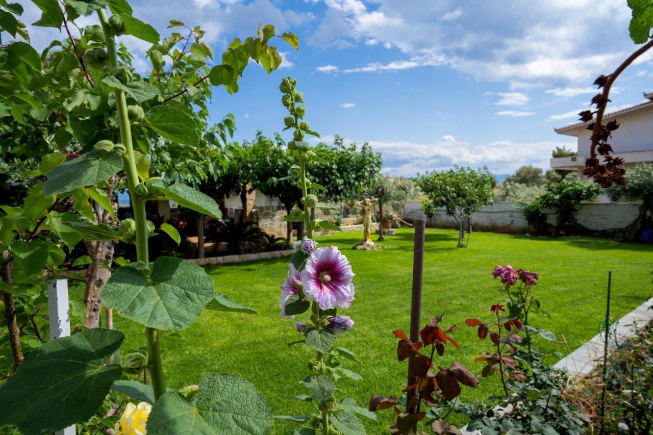 Ocean View Villa Кинета Екстериор снимка